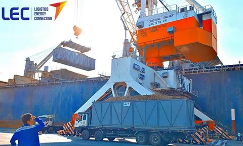 LEC GROUP: DN hàng đầu về logistic vào danh sách kiểm tra thuế