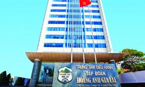 HAGL Agrico và tham vọng lợi nhuận trong năm 2022