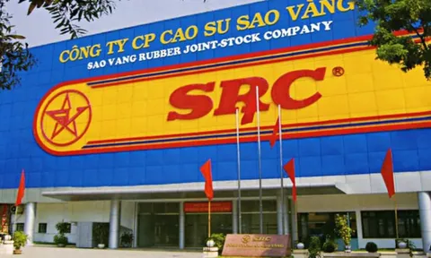 Cổ đông không chịu tăng vốn, Cao su Sao Vàng lấy tiền đâu đầu tư BĐS 'đất vàng' 231 Nguyễn Trãi?