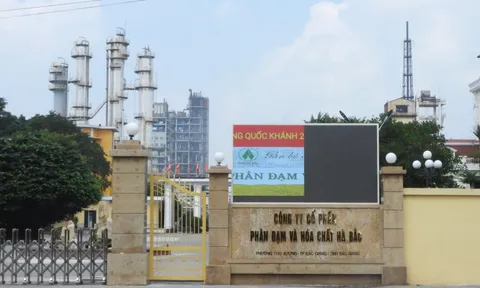 Đạm Hà Bắc bất ngờ báo lãi tăng hơn 15 lần, cổ phiếu tăng kịch trần