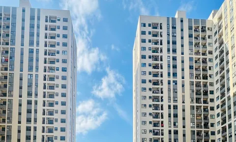Đà Nẵng thành lập Ban Chỉ đạo về chính sách nhà ở và thị trường bất động sản