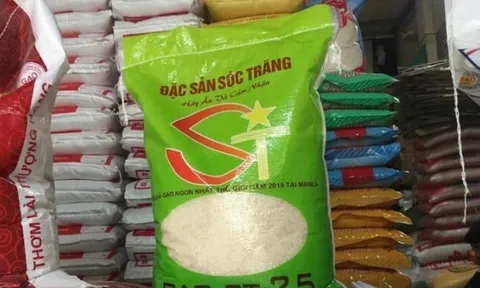 9 loại gạo Việt được miễn thuế xuất khẩu sang EU nhưng không có ST24, ST25