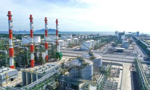 Lợi nhuận quý 1/2025 của Long Sơn PIC giảm mạnh