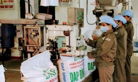 Lợi nhuận của Hoá chất Đức Giang giảm quý thứ 6 liên tiếp