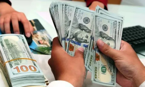 Tỷ giá tăng cao, khuyến cáo người dân không mua bán ngoại tệ tự do