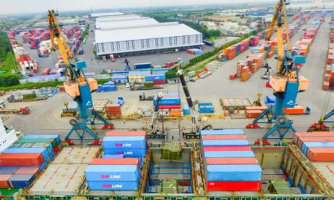 Viconship trở thành cổ đông lớn tại Xếp dỡ Hải An