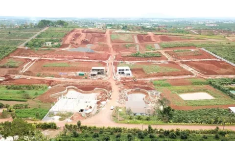 Lâm Đồng: Xử lý tình trạng núp bóng hiến đất làm đường để phân lô, tách thửa trái phép