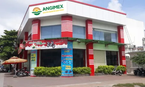 Angimex miễn nhiệm Tổng giám đốc giữa khủng hoảng tài chính, cổ phiếu bị hủy niêm yết