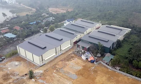 Hà Nội: Đề xuất mức xử phạt vi phạm về đất đai có thể lên tới 500 triệu đồng