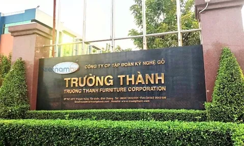 Gỗ Trường Thành (TFF) chấp nhận mất hơn 400 tỷ đồng khoản nợ khó đòi