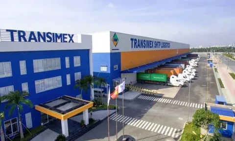 ĐHCĐ Transimex: Mục tiêu lợi nhuận 2023 đi lùi 59%, quý I chưa đi được 1/4 chặng đường