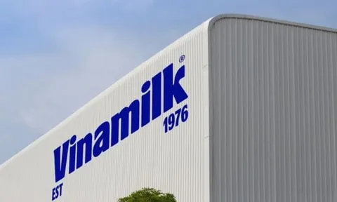 Vinamilk chốt quyền chia cổ tức 20% bằng tiền mặt