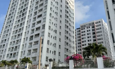 TP.HCM kiểm tra hàng loạt chung cư tranh chấp kéo dài