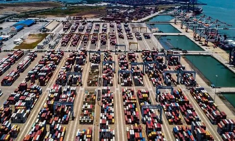 Lợi nhuận quý I/2023 của Container Việt Nam giảm 61%