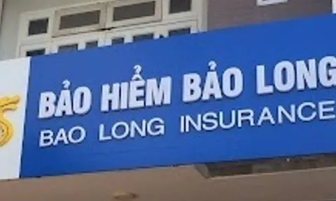 Lợi nhuận quý I/2023 của bảo hiểm Bảo Long: Giảm 80%, vỏn vẹn 30,6 tỷ đồng