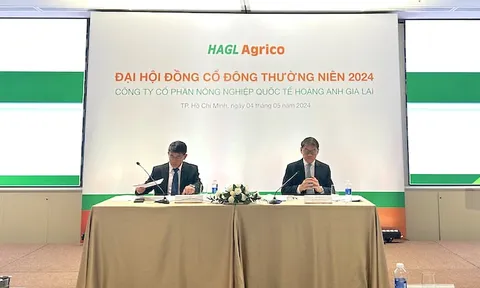 Đánh cược vào HNG, Tỷ phú Trần Bá Dương hứa 2025 sẽ có lãi