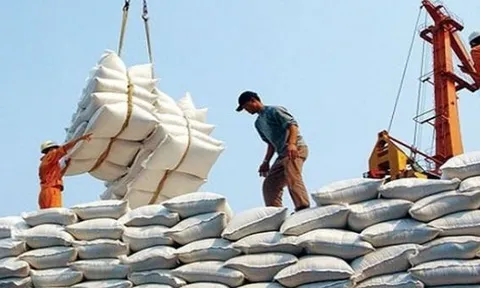 Bộ Công Thương thu hồi 10 giấy phép xuất khẩu gạo