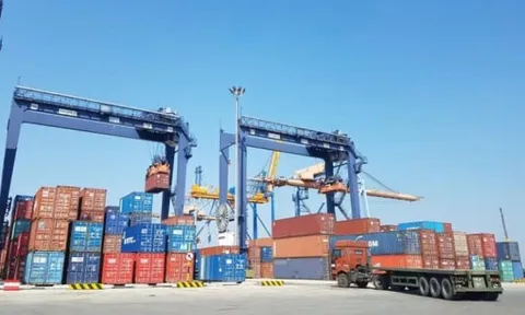 Viconship báo lãi sau thuế gần 70 tỷ đồng trong quý 1/2026
