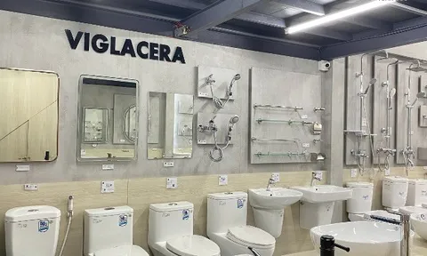 Thành viên Viglacera bị phạt hơn 1 tỷ đồng, đình chỉ giao dịch chứng khoán trong 3 tháng