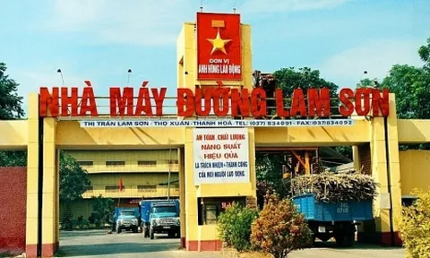 Khai thác không có thiết kế mỏ, Mía đường Lam Sơn bị phạt 100 triệu đồng