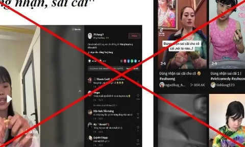 Kiểm tra toàn diện hoạt động của Tiktok tại Việt nam trong 15 ngày