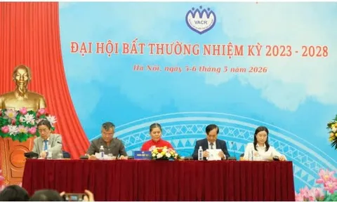 Khai mạc Đại hội bất thường khóa IV Hội Bảo vệ quyền trẻ em Việt Nam