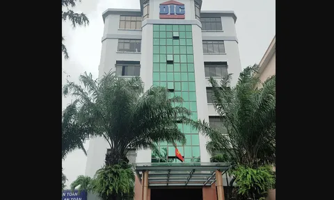 Sau nhiều lần "chốt lời", Him Lam không còn là cổ đông lớn tại DIC Corp