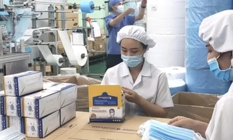 Cổ phiếu bị cảnh báo, Danameco lỗ gần 24 tỷ trong 3 tháng đầu năm