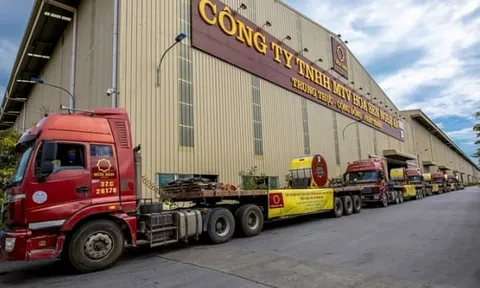 Tôn Hoa Sen phản hồi thông tin nợ thuế