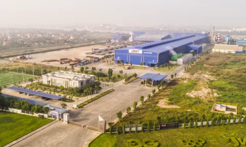 BIDV rao bán loạt tài sản thế chấp của Thép Việt Nhật