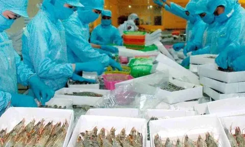 Seaprodex Saigon bị buộc mở thủ tục phá sản