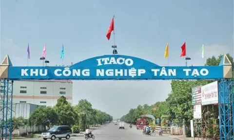 TP.HCM dừng thủ tục hải quan với hàng loạt DN nợ thuế