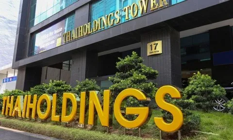 Đằng sau thương vụ "1 vốn 20 lời" của Thaiholdings