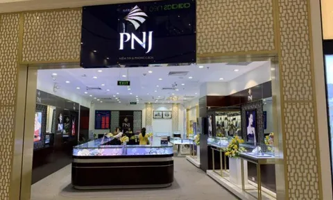 PNJ: Lãnh đạo lương cao kỷ lục, “phải trả” người lao động và thuế 500 tỷ đồng