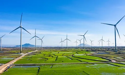 Nguyên nhân hàng loạt dự án điện gió thua lỗ hàng trăm tỷ đồng ?