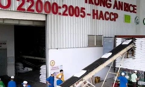 Chi phí lãi vay bào mòn lợi nhuận của Gạo Trung An