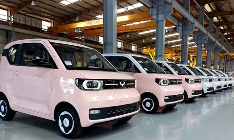 TMT Motor thay ‘tướng’ có đổi vận?
