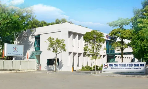 Liên tiếp trúng loạt gói thầu lớn, Thiết bị Điện Đông Anh kinh doanh ra sao