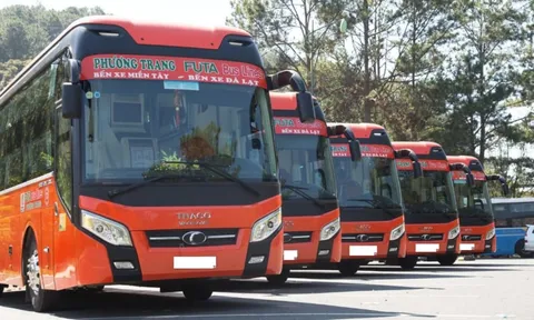 Chi nhánh của Phương Trang FUTA Bus Lines chậm đóng BHXH hơn 20 tỷ đồng