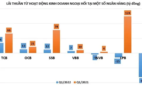 Hoạt động kinh doanh ngoại hối tại ngân hàng: VIB lỗ nặng, lãi giảm một nửa