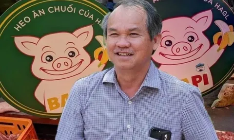 Chuỗi cửa hàng heo ăn chuối biến mất, HAGL của Bầu Đức làm ăn ra sao?