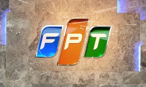 FPT Telecom không đáp ứng điều kiện công ty đại chúng