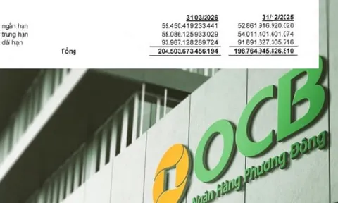 Nợ có khả năng mất vốn của OCB vượt 4.500 tỷ đồng