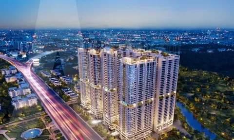 Realty Holdings doanh nghiệp được Phát Đạt “chọn mặt gửi vàng”