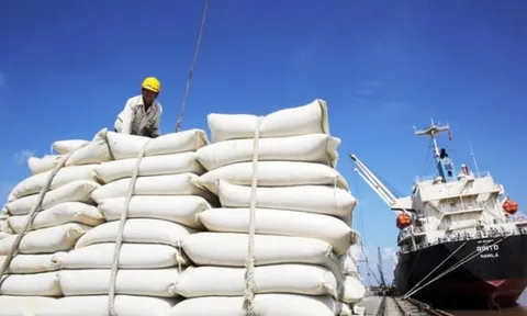 Việt Nam có thể thành quốc gia nhập khẩu gạo lớn thứ 2 thế giới