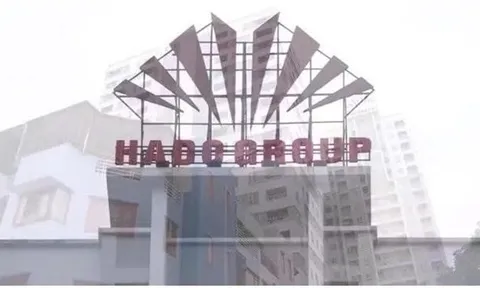 Hà Đô (HDG) rót gần 610 tỷ đồng vào Điện gió Bình Gia, lợi nhuận quý I giảm 50% sau khoản dự phòng Infra 1
