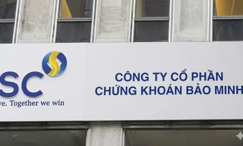 Chứng khoán Bảo Minh: Vừa báo lãi 'đột biến', lại nhận thêm án phạt nặng