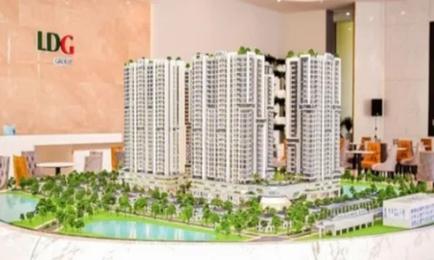 Kiểm toán nghi ngờ khả năng hoạt động liên tục của LDG