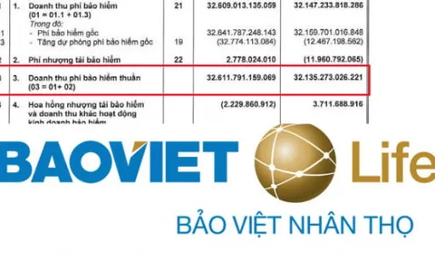 Bảo Việt Nhân thọ lỗ gộp mảng bảo hiểm, chi hơn 96% tài sản đầu tư tài chính