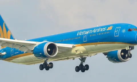 Vietnam Airlines bị từ chối việc xin hoãn nộp BCTC quý I/2022